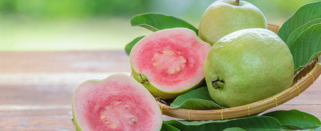 Guayaba: el superalimento tropical que conquista a los ciclistas