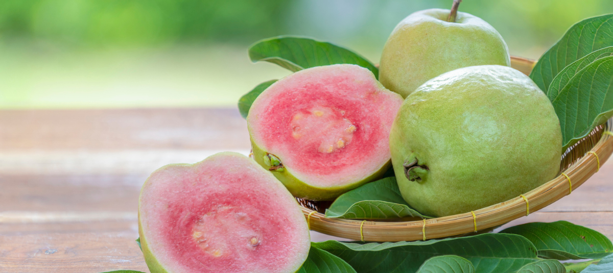 Guayaba: el superalimento tropical que conquista a los ciclistas
