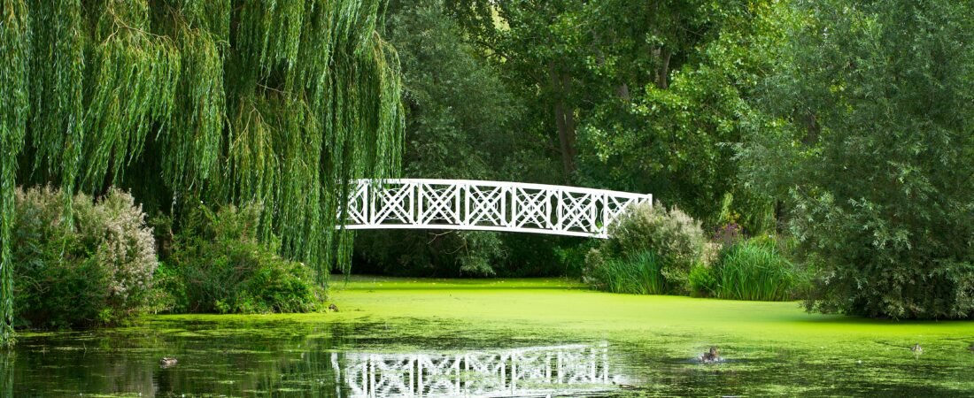 Conectar con la naturaleza: el poder de las actividades al aire libre