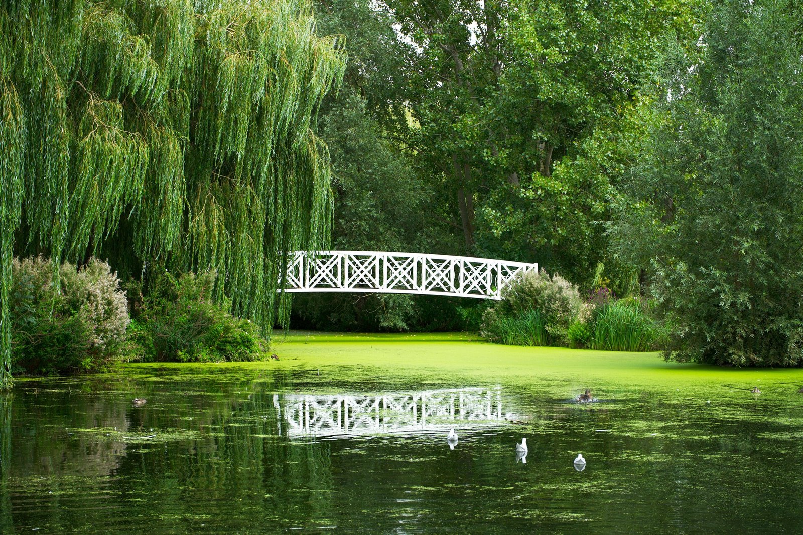 Conectar con la naturaleza: el poder de las actividades al aire libre