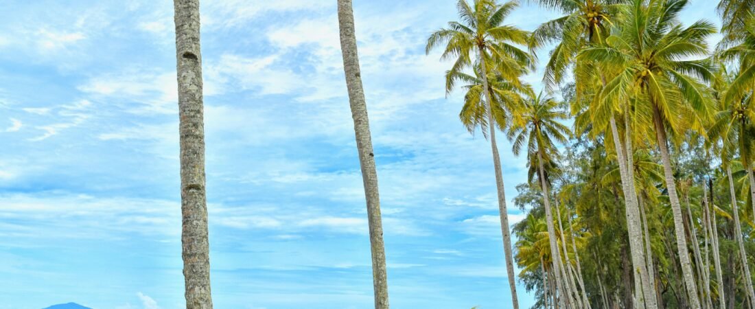 Tendencias de viajes: qué destinos eligen los viajeros hoy