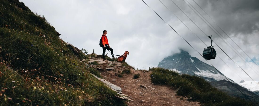 Los 10 accesorios imprescindibles para salir al campo con tu perro