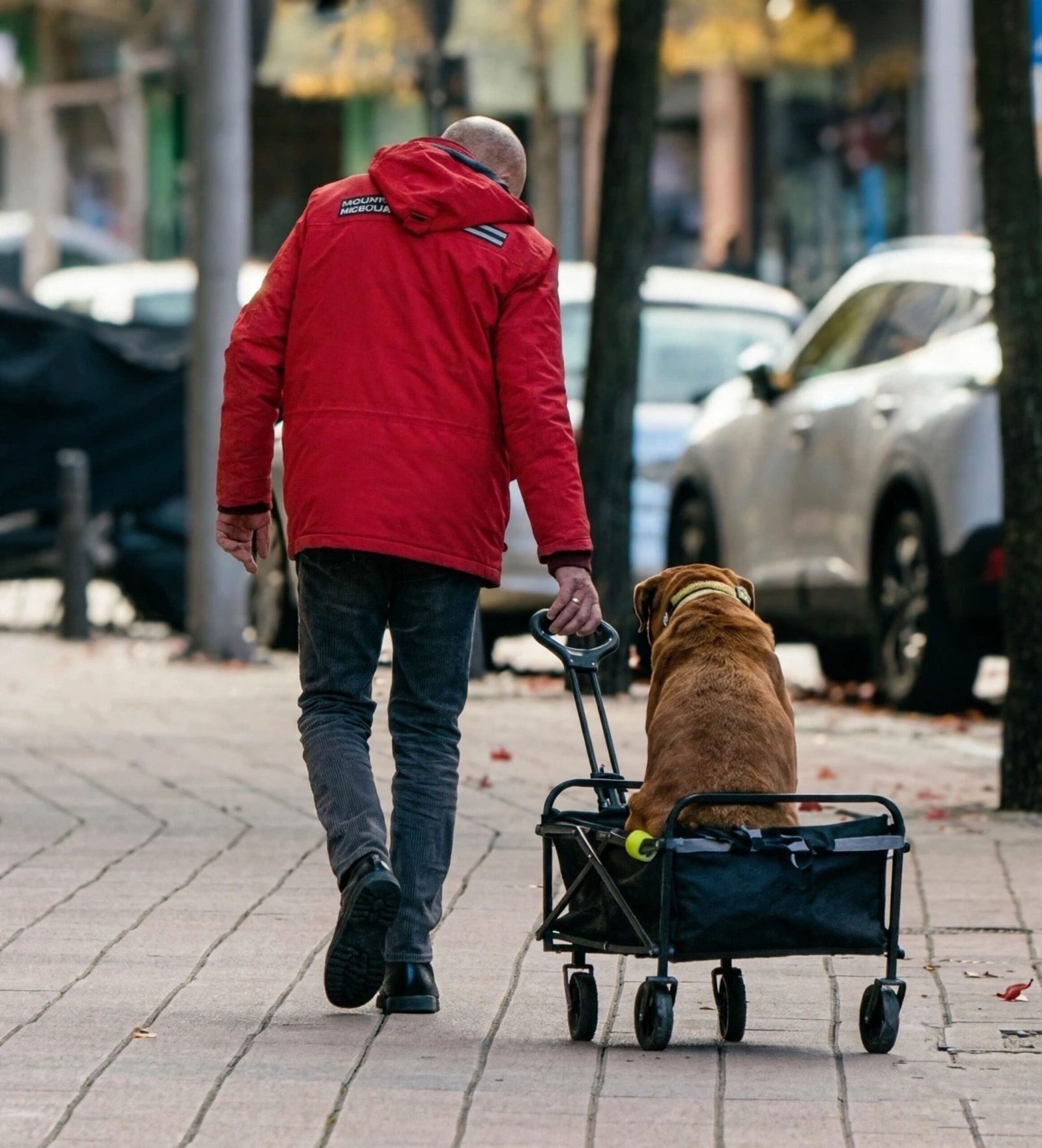 Carrito Plegable con Ruedas Grandes Extra Todo Terreno